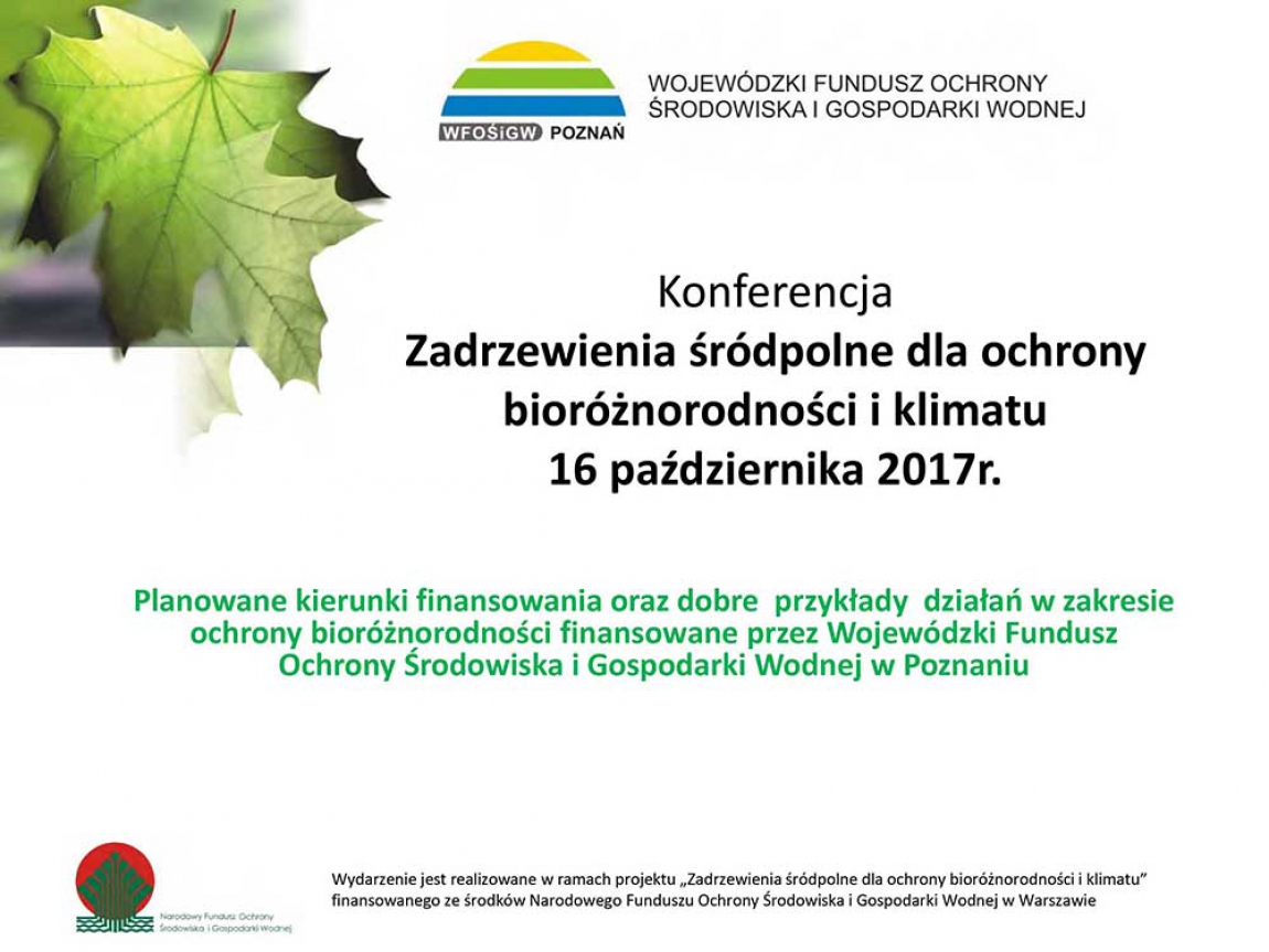 Planowane kierunki finansowania oraz dobre przykłady działań w zakresie ochrony bioróżnorodności finansowane przez WFOŚ i GW w Poznaniu